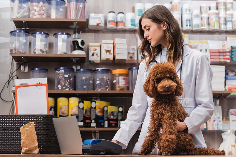 Vet with dog